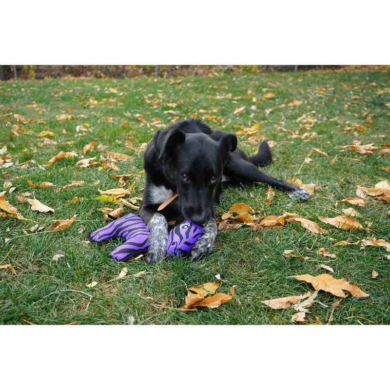 KONG Ripstop Zebra Dog Toy - Purple