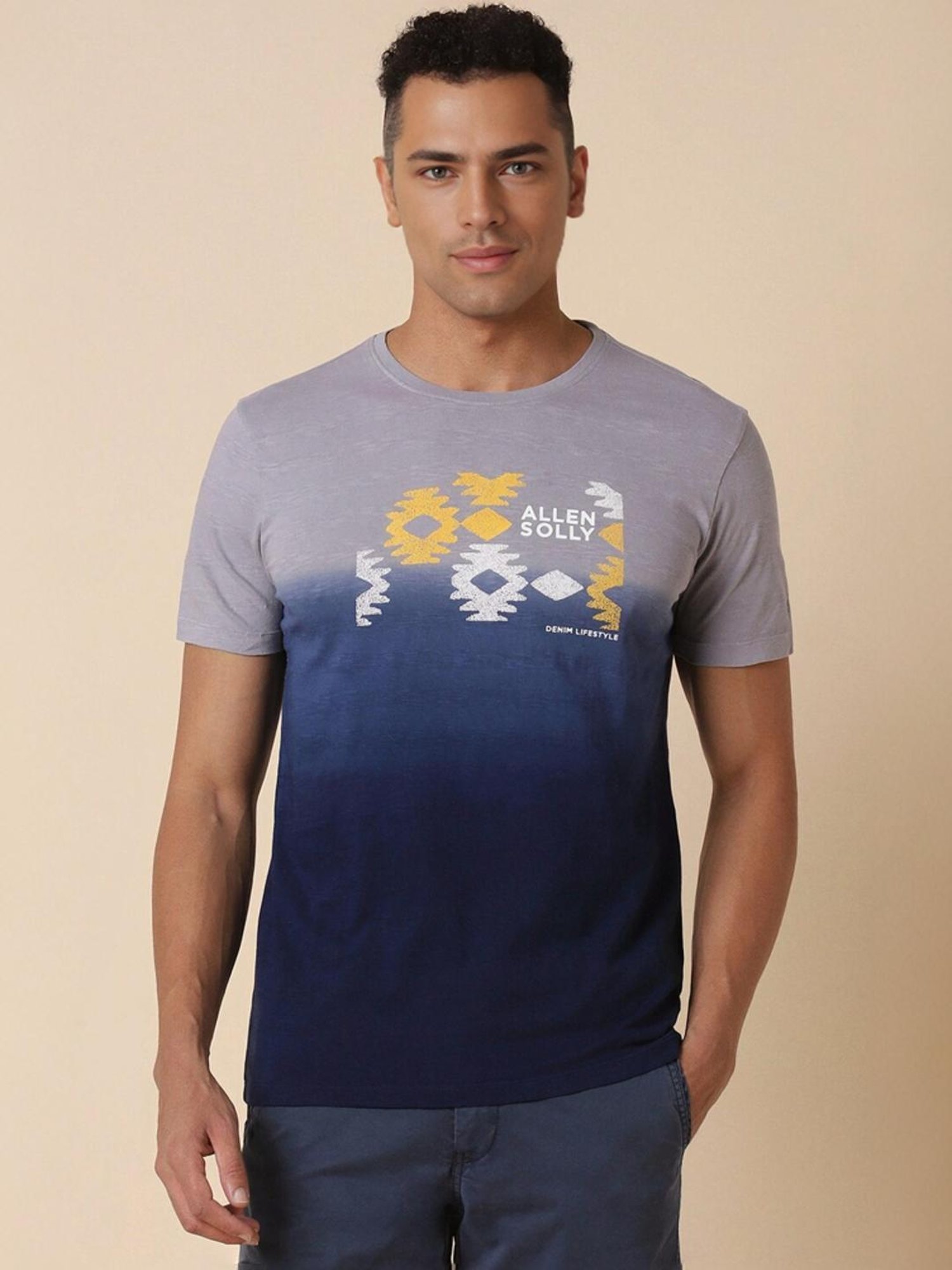 Allen Solly Navy Regular Fit Ombre T-Shirt