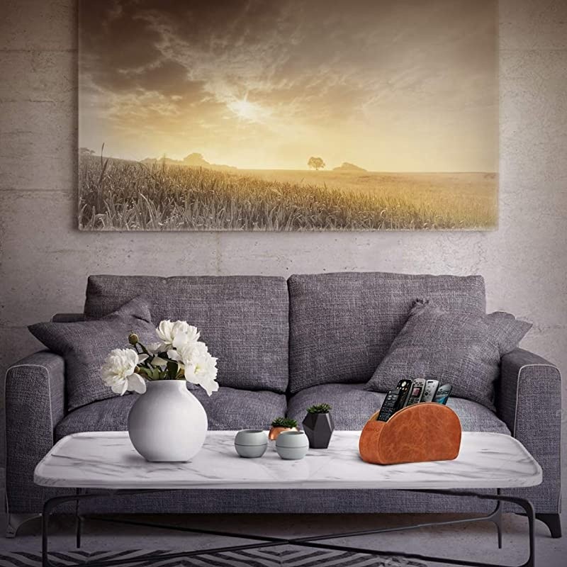 Remote Controller Holder Organizer Store DVD Bluray TV Roku or Apple TV Remotes Italian Genuine Leather with Suede Lining Living or Bedroom Storage Brown