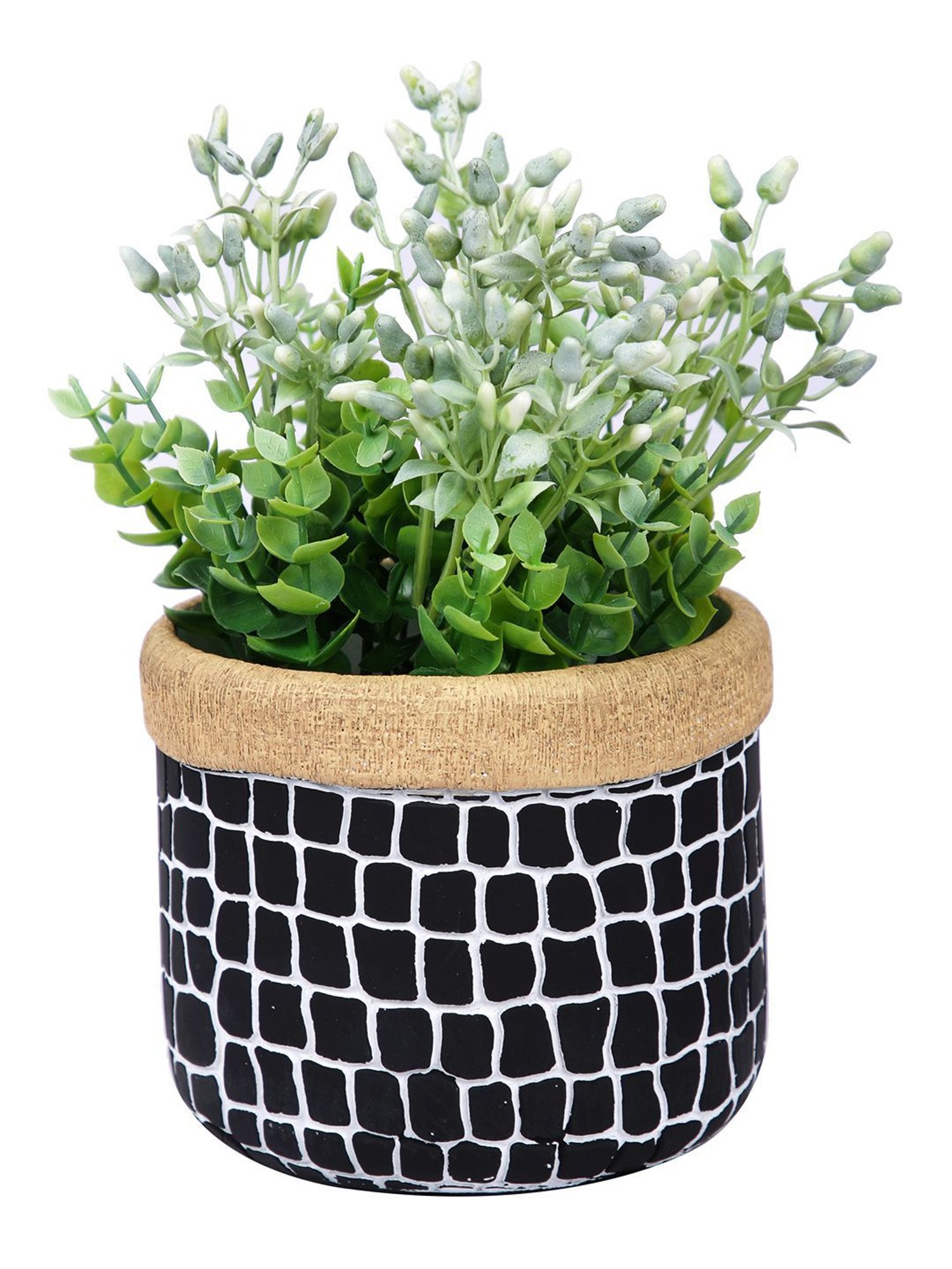 Tayhaa Black Ceramic Planter