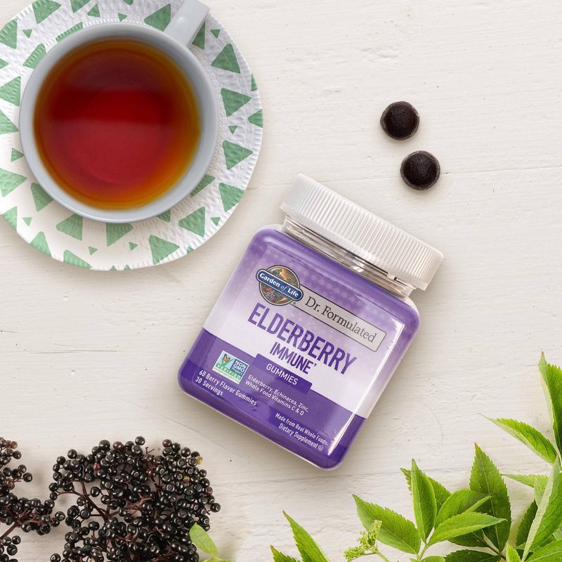 Garden of Life Dr. Formulated Adult Elderberry Gummies - 60ct