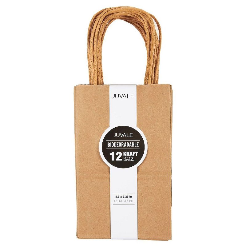 Brown Kraft Bag, Birthday Party Gift Favor Bag Set - 12 Count - Small