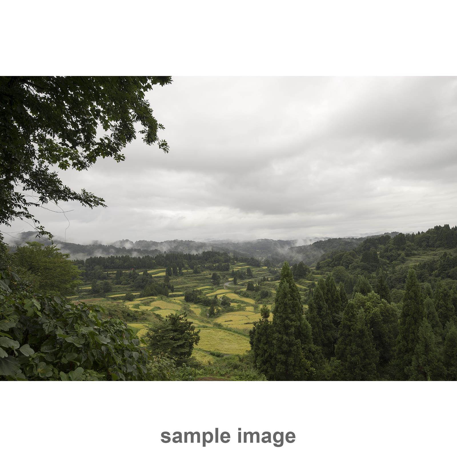 Sigma 12-24mm f4 DG HSM Art Lens for Canon