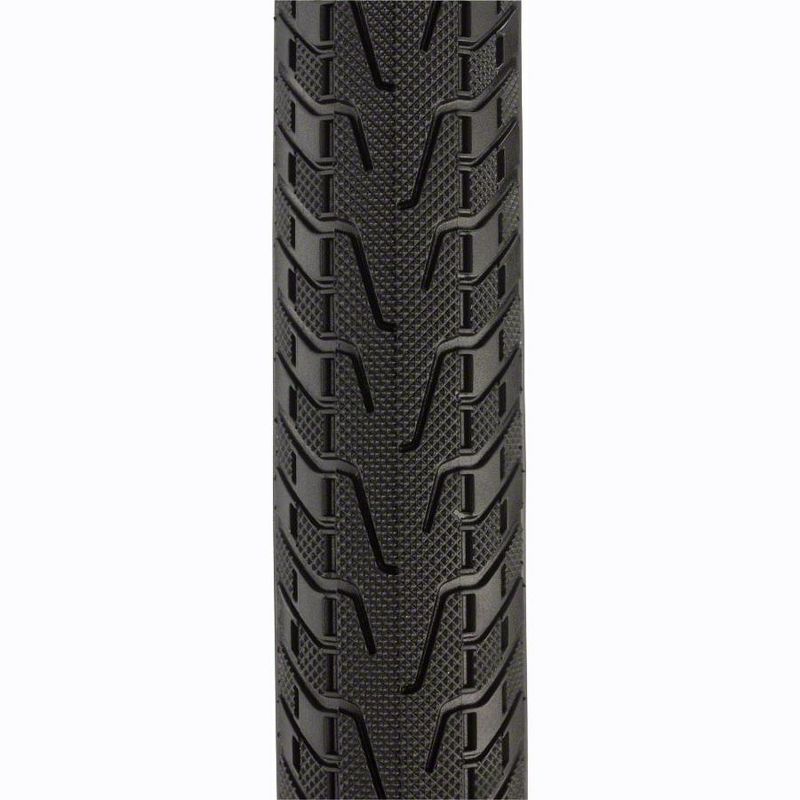 Panaracer Pasela ProTite Tire Tires