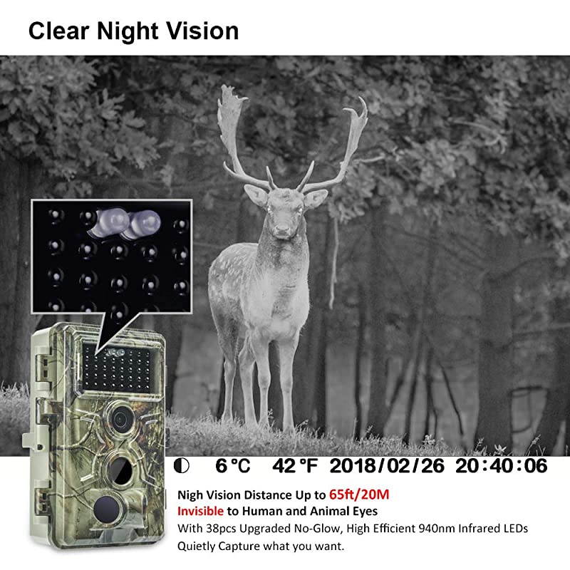 Trail Camera 16MP 1080P Game Camera with No Glow Night Vision Up to 65ft 02s Trigger Time Motion Activated 24 Color Screen Waterproof Wildlife Hunting Camera