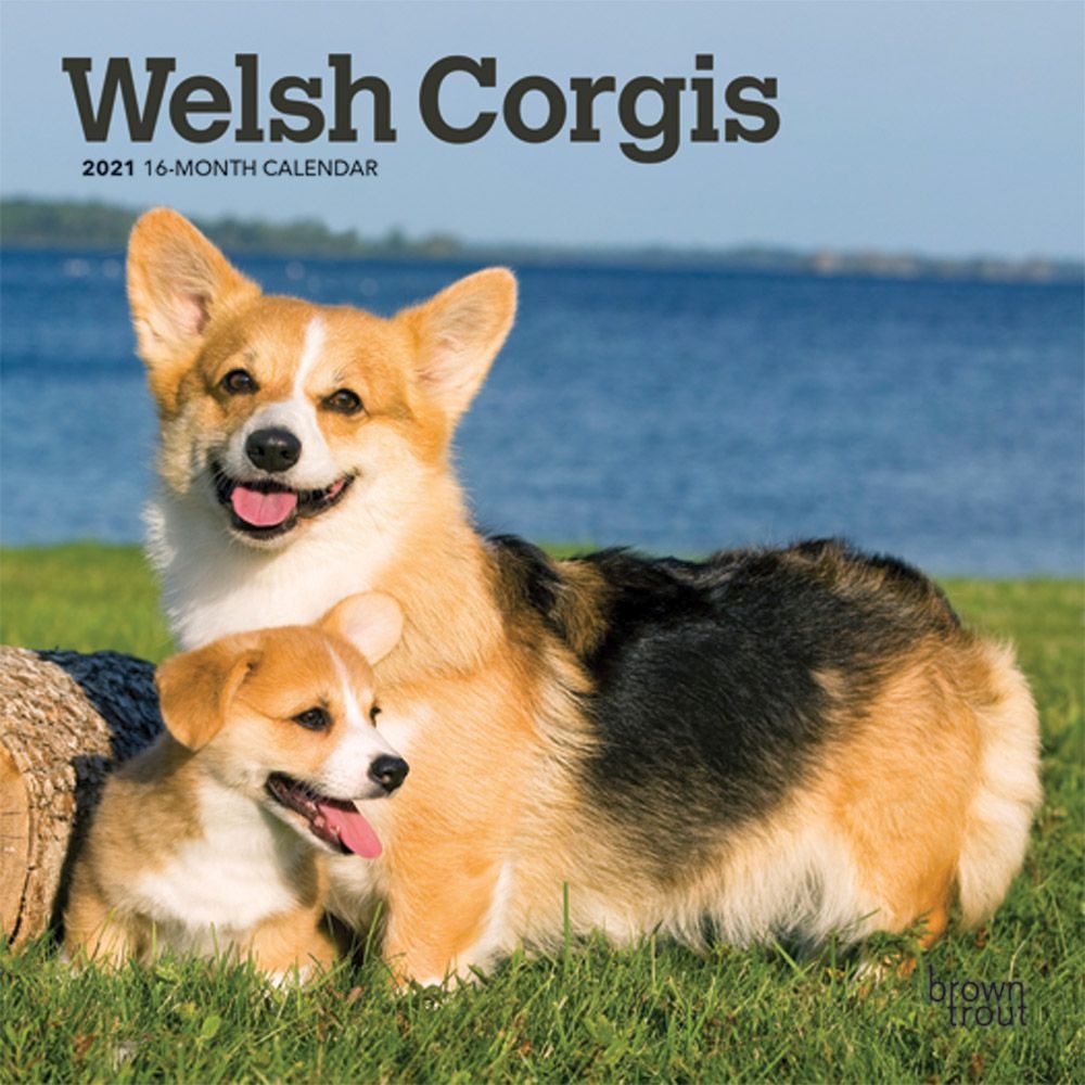 BrownTrout,  Welsh Corgis 2021 Mini Wall Calendar 2021