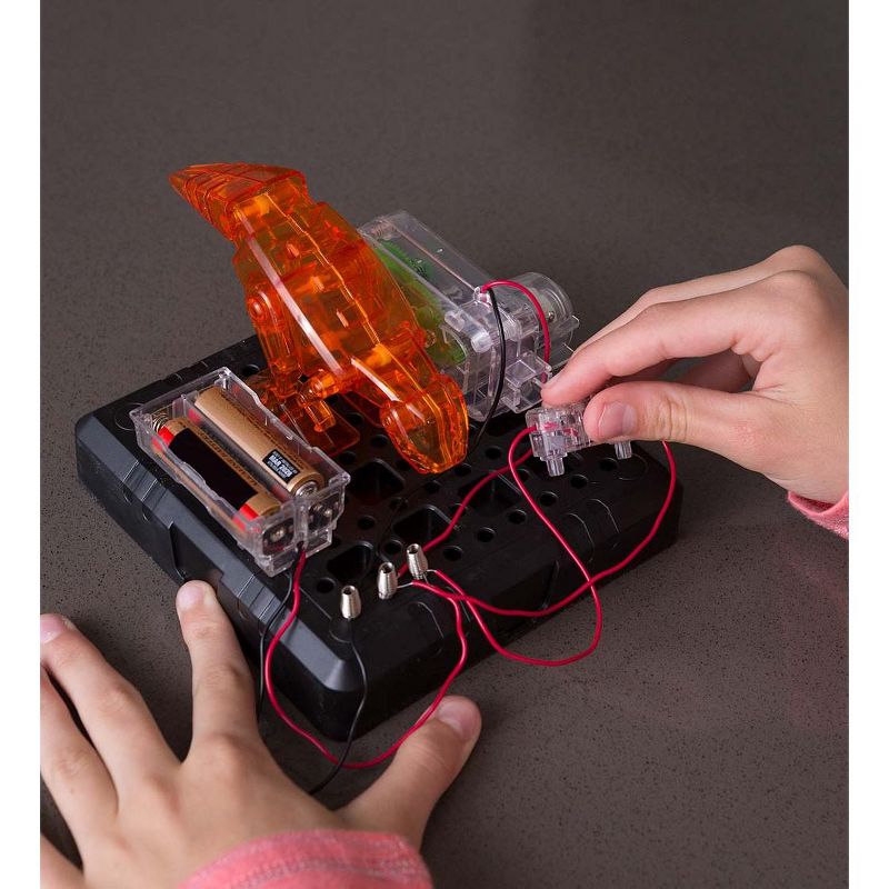 Prehistoric Sea Creatures Terrarium - Thinkbox