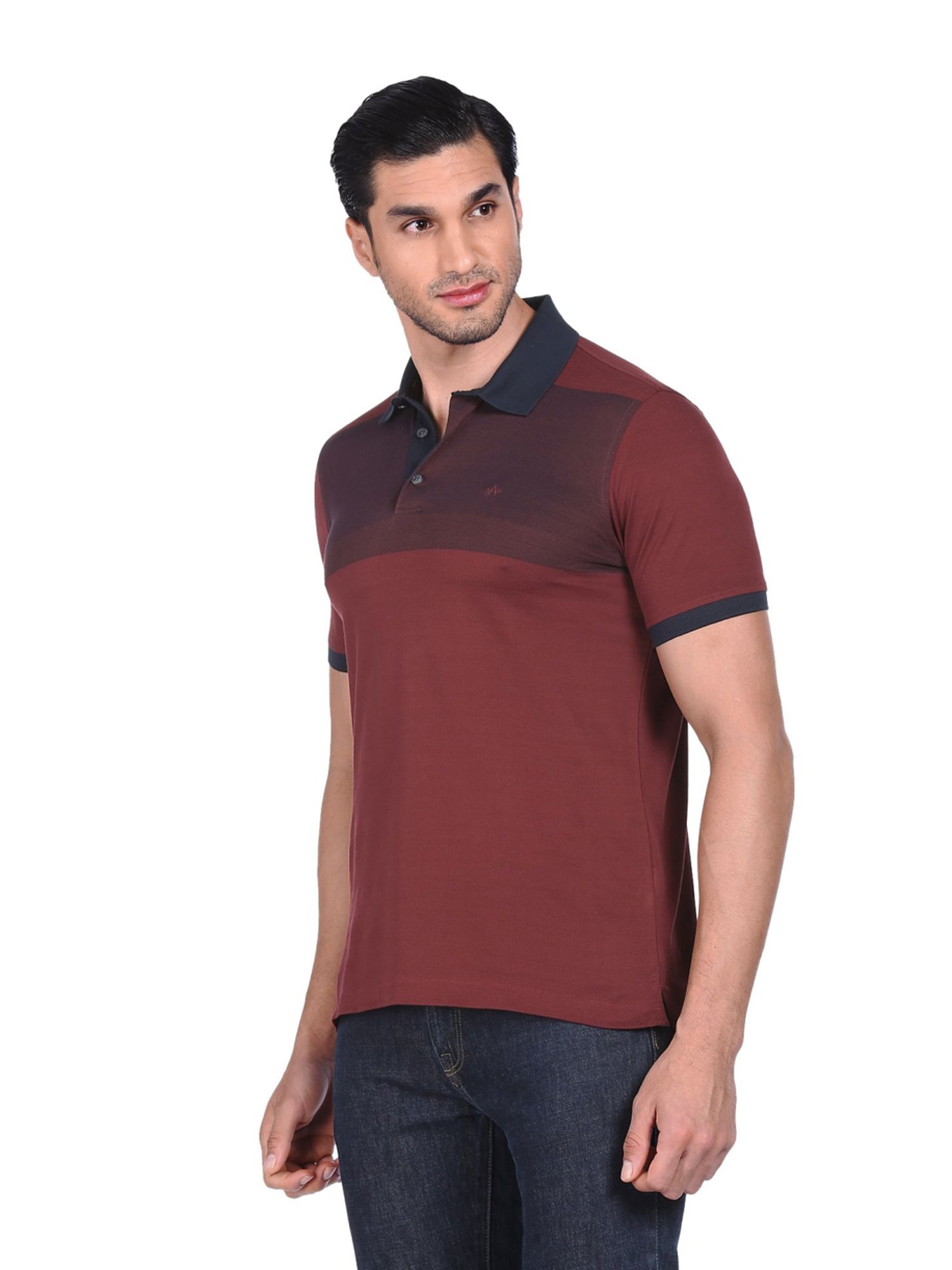 Arrow Maroon Cotton Regular Fit Colour Block Polo T-Shirt