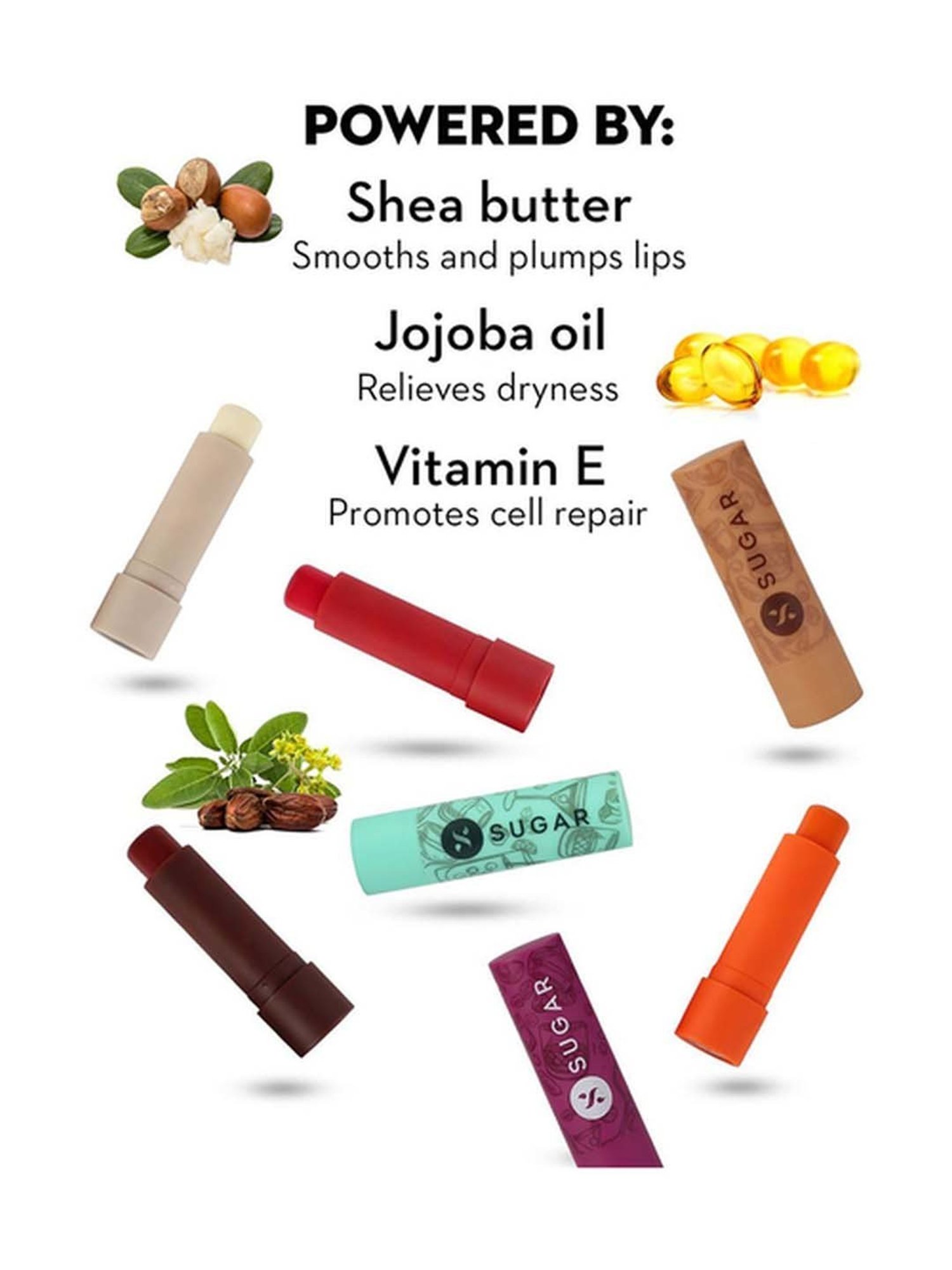 Earthraga Spiced Chai Organic Lip Balm - 4 gm