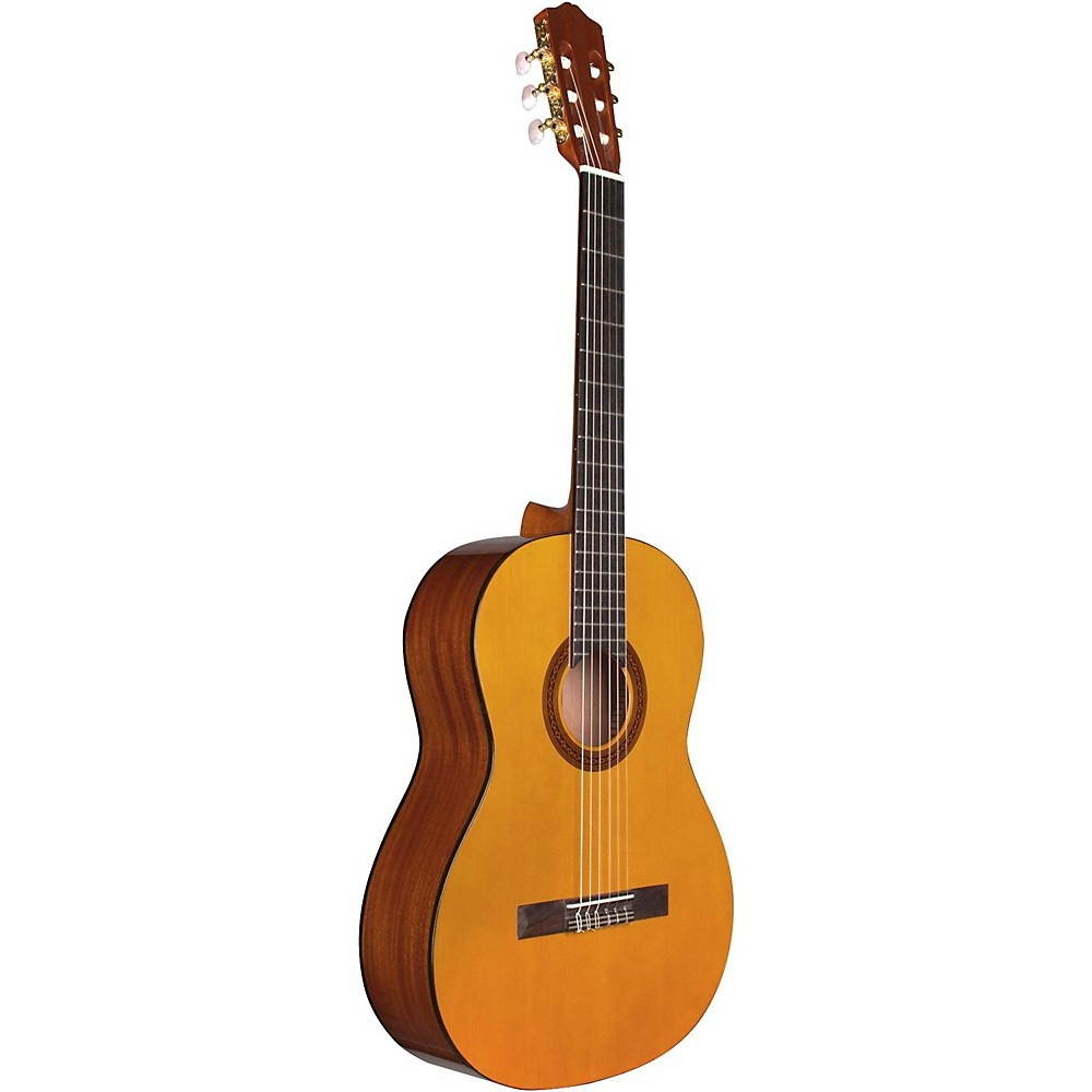 Cordoba Protege C1M Nylon String Acoustic Guitar