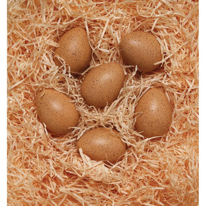 Yellow Door Sensory Sound Eggs  - Set of 6