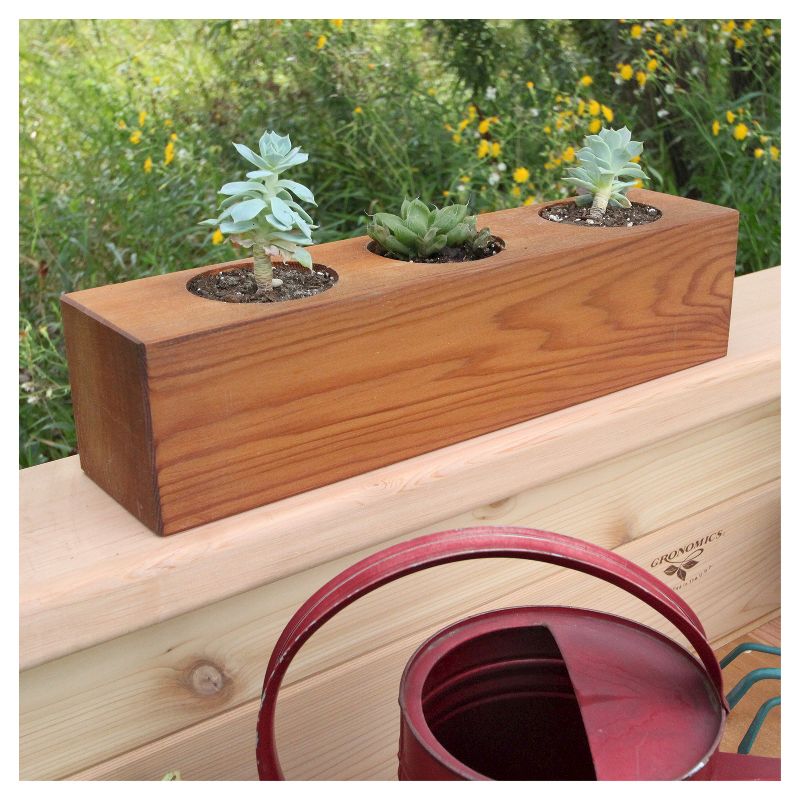 Succulent Three hole Rectangular Planter Western Clear Oil Finish - Red Cedar - Gronomics
