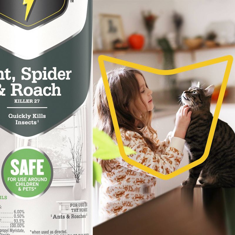 Raid Essentials Ant, Spider & Roach Killer 27 Aerosol - 10 oz