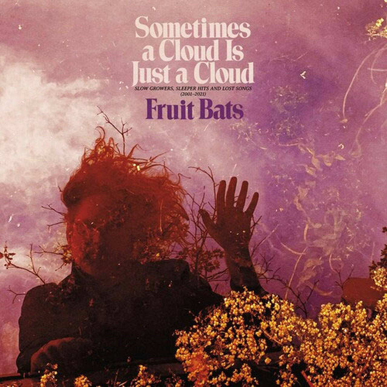 Fruit Bats Sometimes A Cloud Is Just A Cloud: Slow Growers, Sleeper Hits And Lost Songs (2001-2021) 2LP (Color Vinyl)