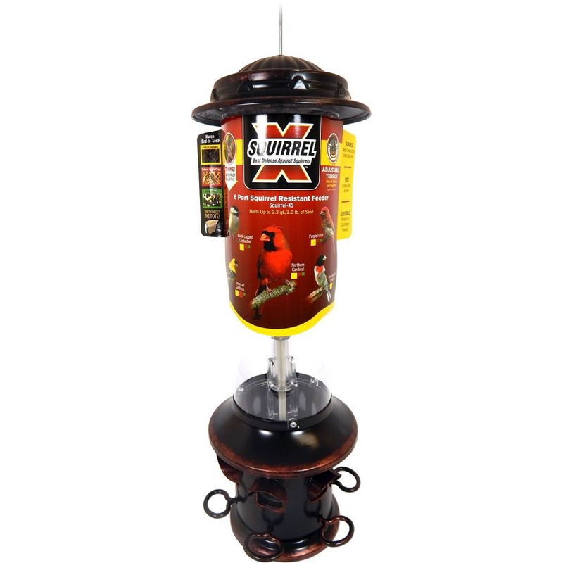 Droll Yankees Oil Rubbed Squirrel X Proof Bird Feeder - Bronze
