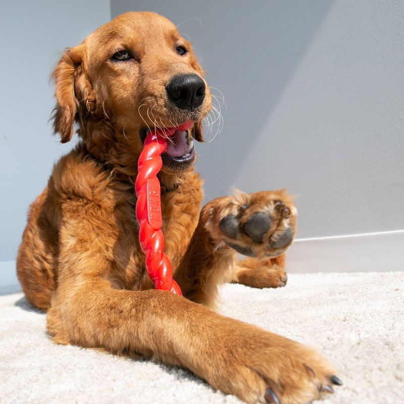 KONG Holiday Safestix Holiday Dog Toy - Red - S