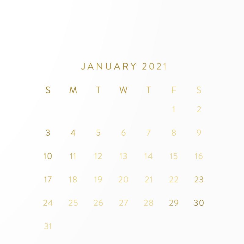 2021 Reference Wall Calendar 14" x 14" - Sugar Paper™