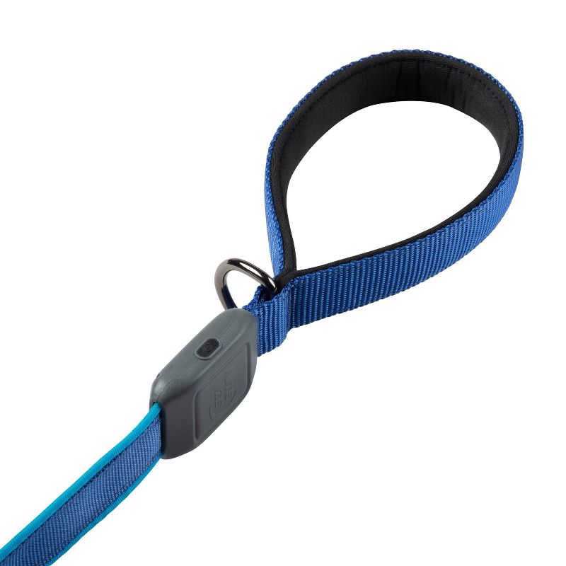 Nite Ize Nite Dog Rechargeable LED Dog Leash - Blue/Blue