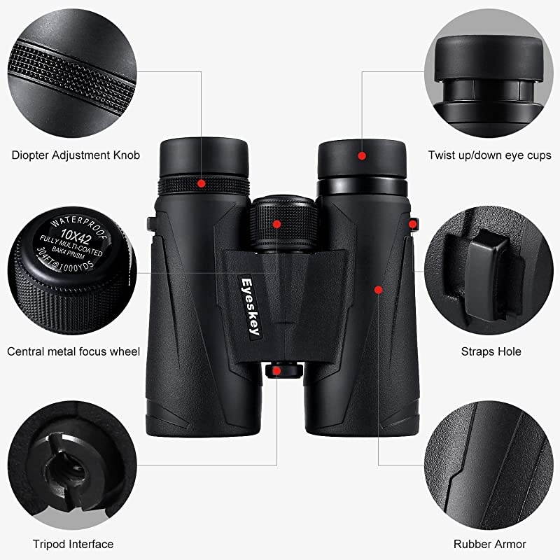 10x42 Professional Waterproof Binoculars Best Choice for Travelling Hunting Sports Games and Outdoor Activities Extremely Clear and Bright