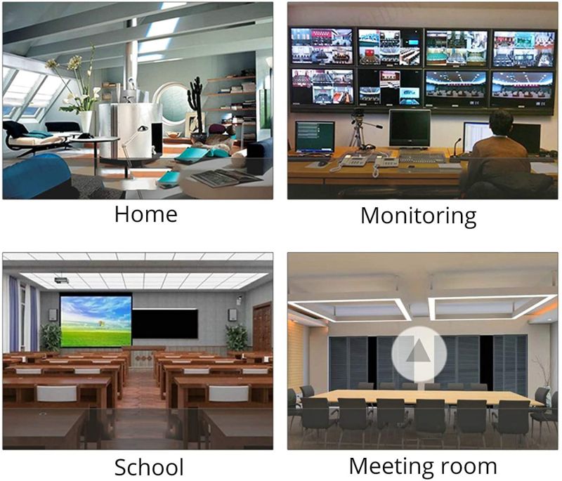 SPT 15-DB02 VGA to RCA, S-Video and VGA Converter (Silver)