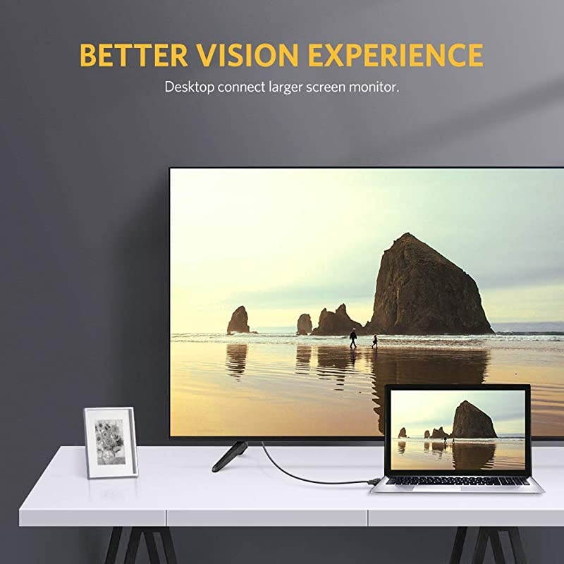 DVID 24+1 Dual Link Male to Male Digital Video Cable Gold Plated with Ferrite Core Support 2560x1600 for Gaming DVD Laptop HDTV and Projector 3FT