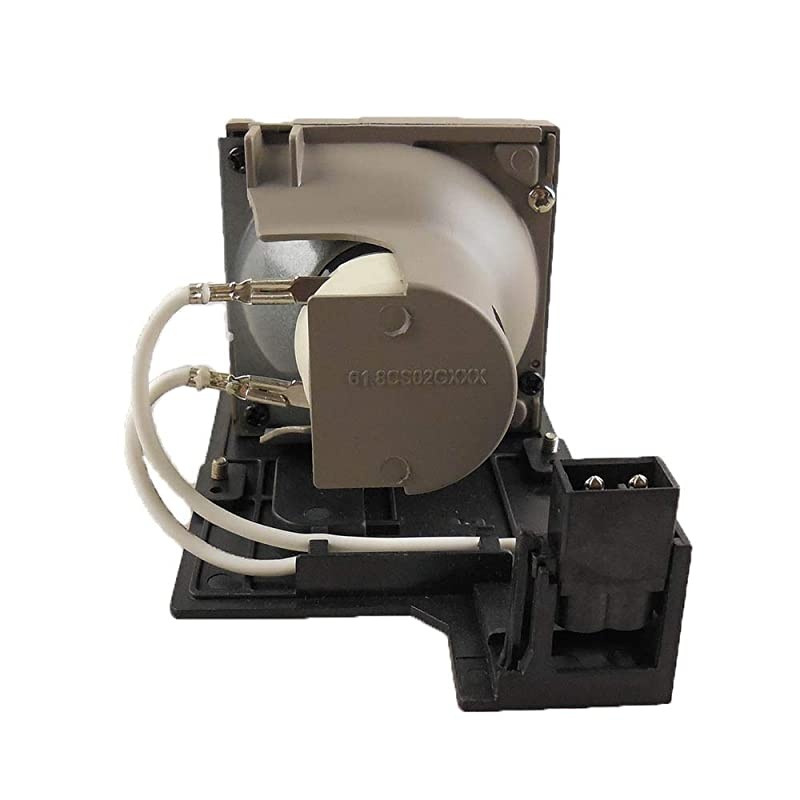 POALMP1386103464633 Compatible Projector Lamp with OEM Housing Compatible with Sanyo PDGDWL100 PDGDXL100 PDGDXL1000C PDGDXL100W