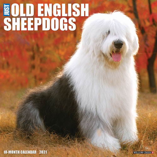 2021 Old English Sheepdogs Wall