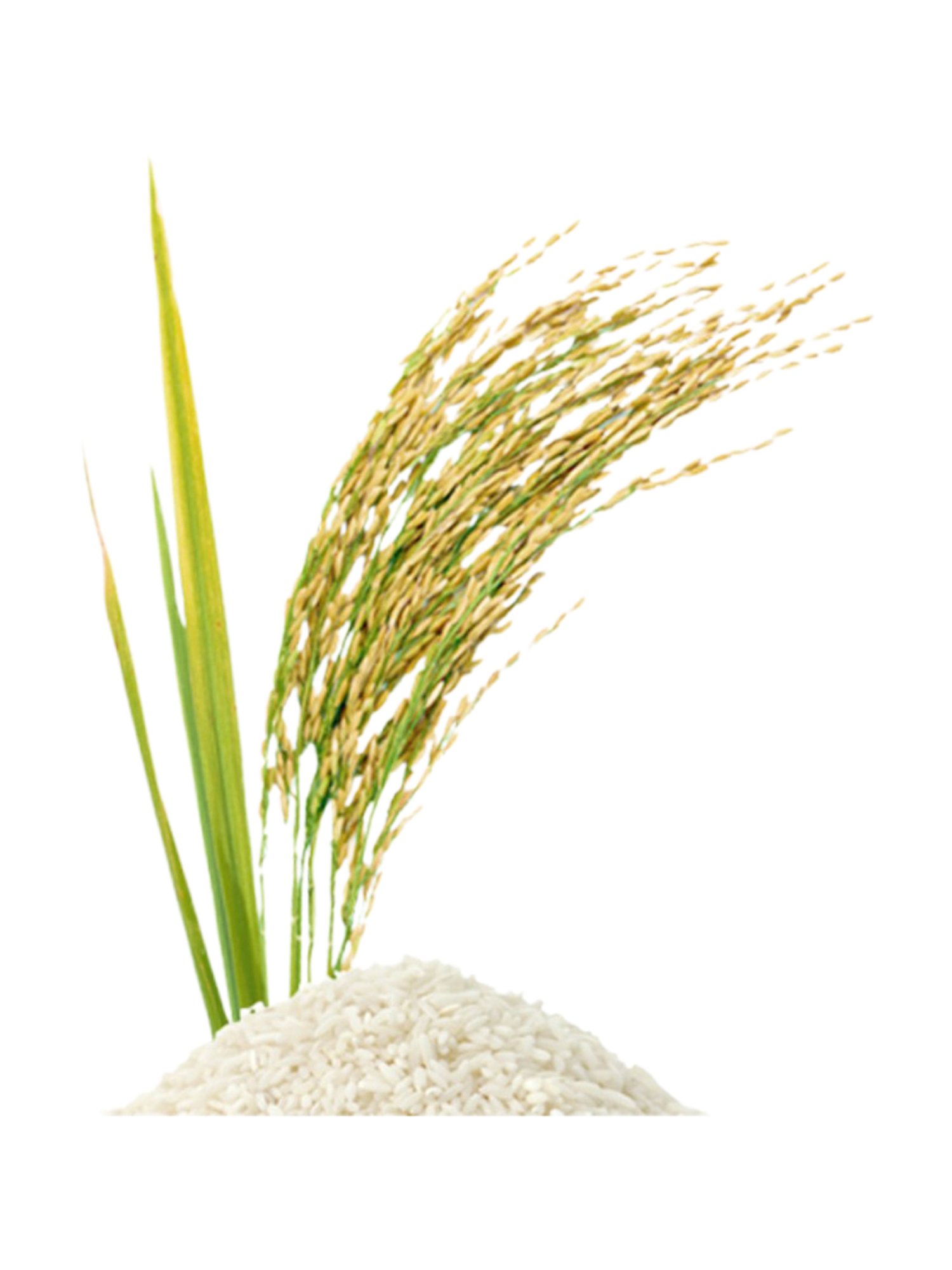 Beauty of Joseon Radiance Cleansing Balm - 100 ml