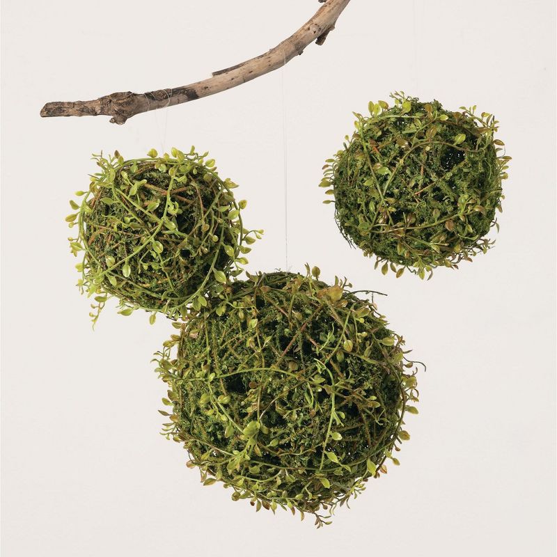 Sullivans Set of 3 Mossy Orbs Decorative Filler 8"H, 6"H & 5.5"H Green