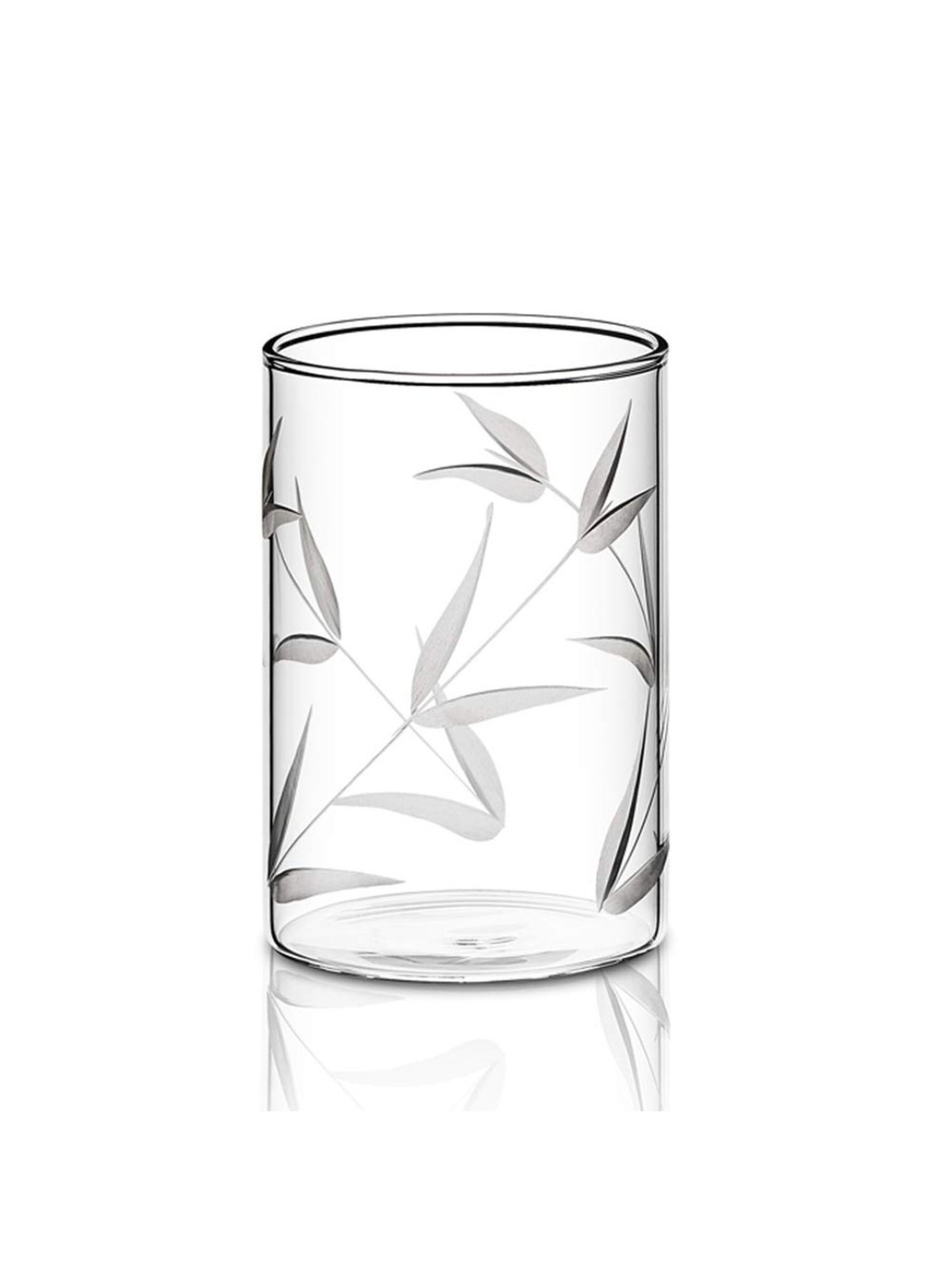 Borosil Transparent Glass Everyday Glasses - Set of 6 (295ml)