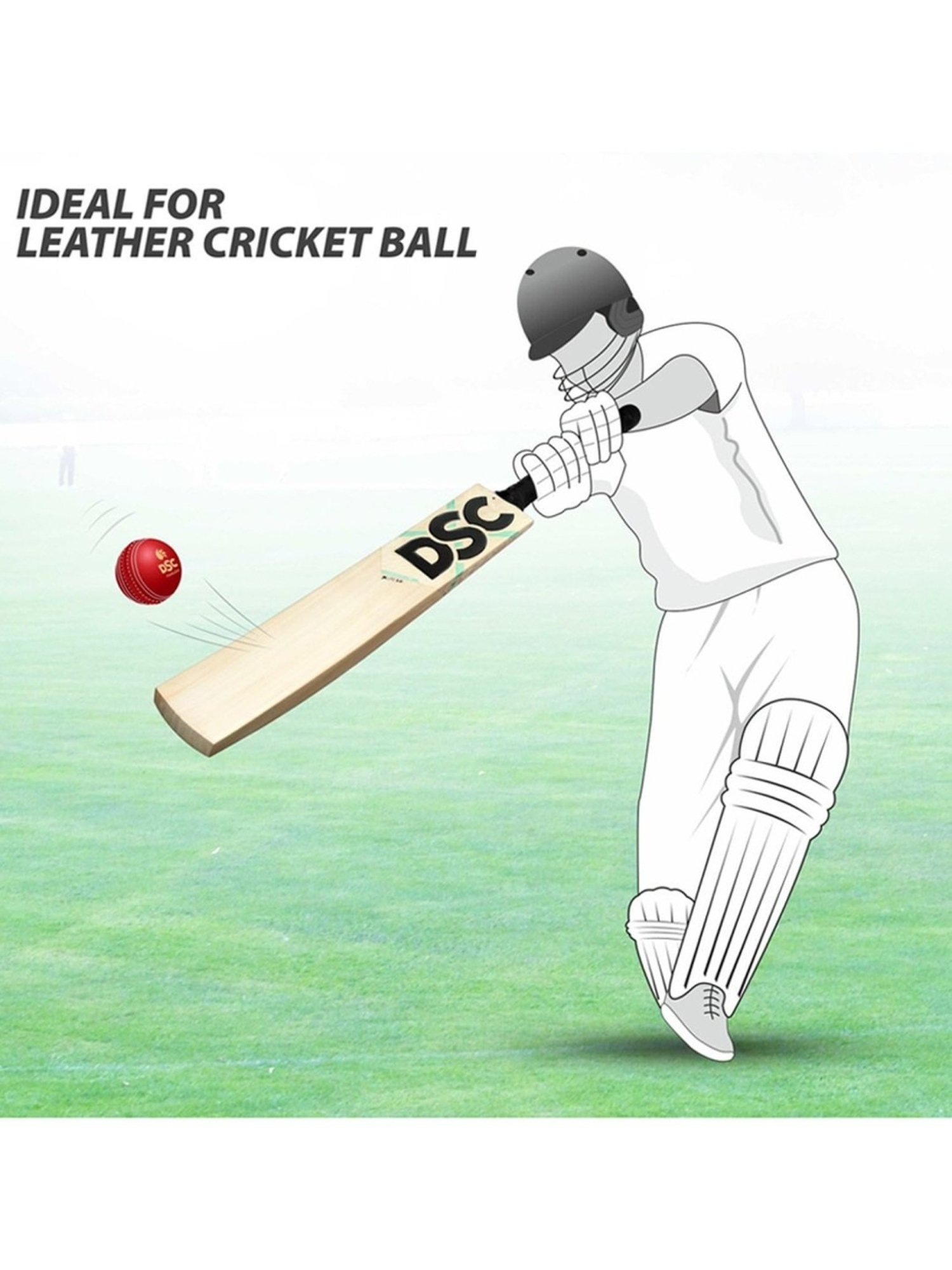 DSC XLITE 3.0 English Willow Cricket Bat Size - Mens