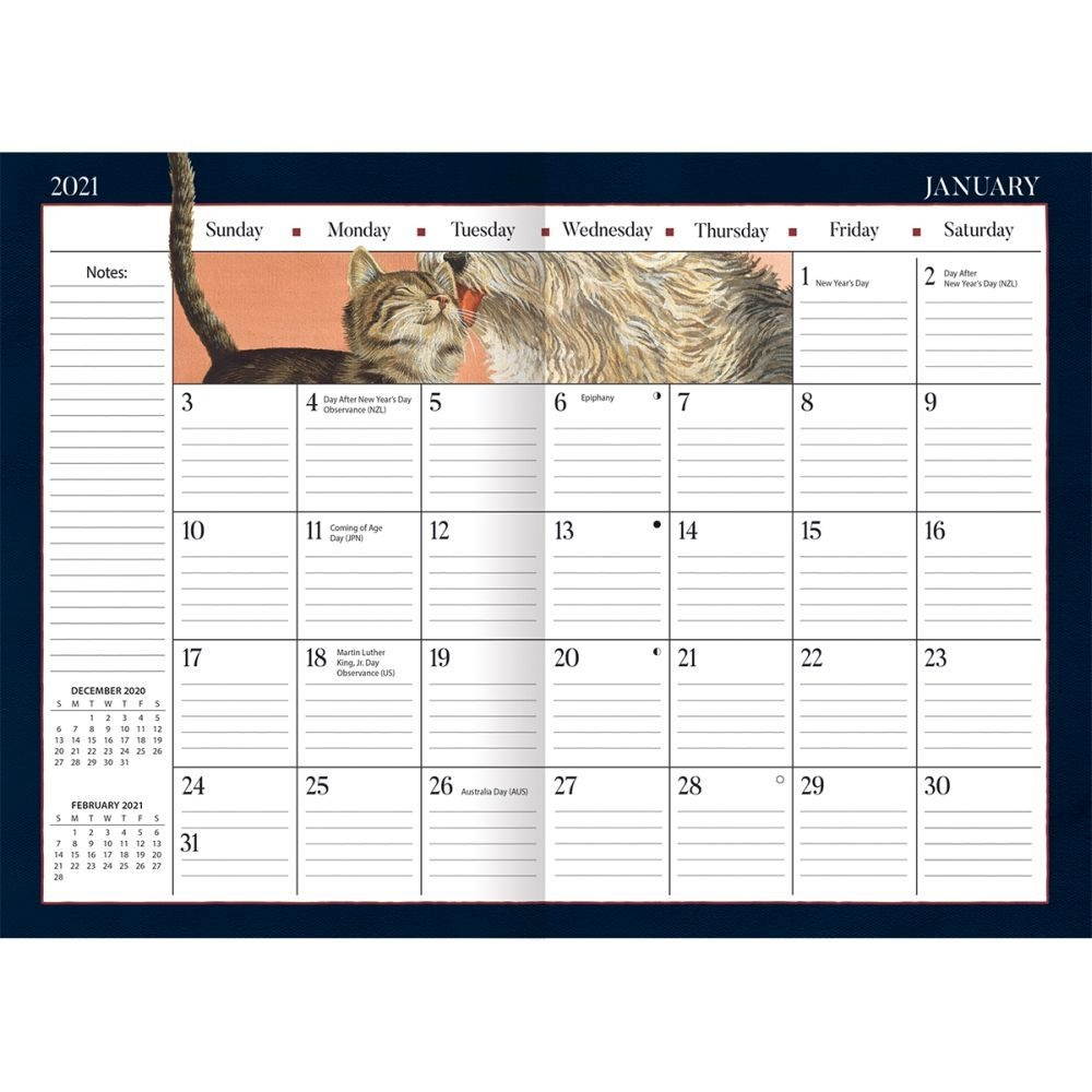 Lang Companies,  American Cat Monthly Planner by Lowell Herrero 2021