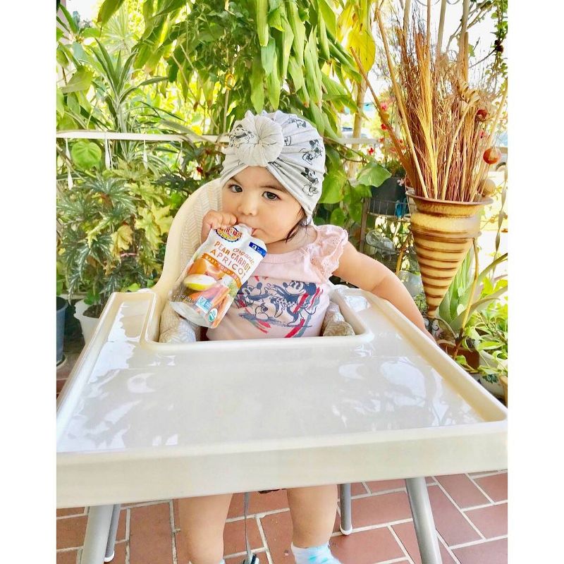 Earth's Best Organic Stage 3 Pear Carrot Apricot Baby Food 4.2oz