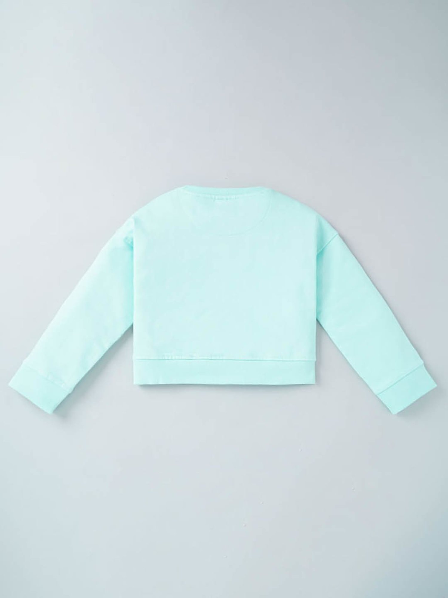 Ed-a-Mamma Kids Blue Printed Full Sleeves Sweatshirt