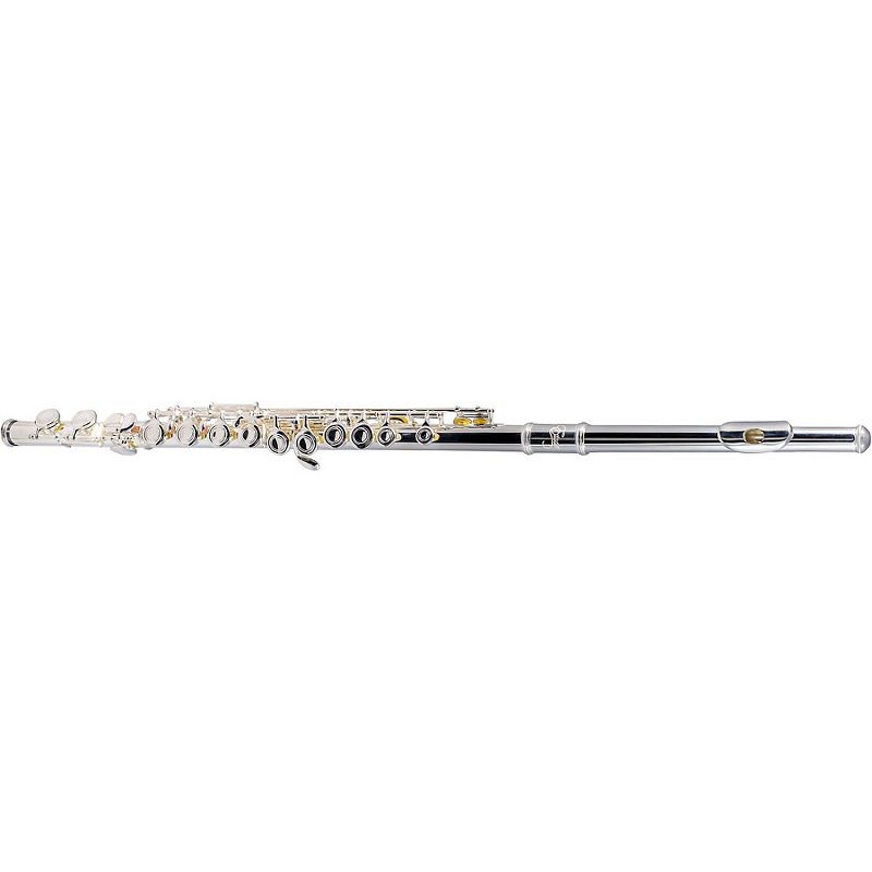 Allora AFL-250 Student Series Flute Offset G C-Foot