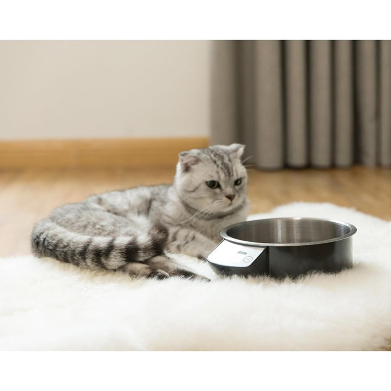 PawsMark Digital Scale Dog Feeding Bowl, Removable Washable Stainless Steel Bowl