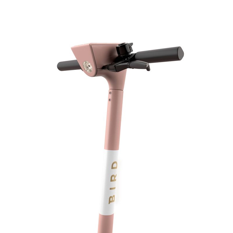 Bird One Electric Scooter - Rose