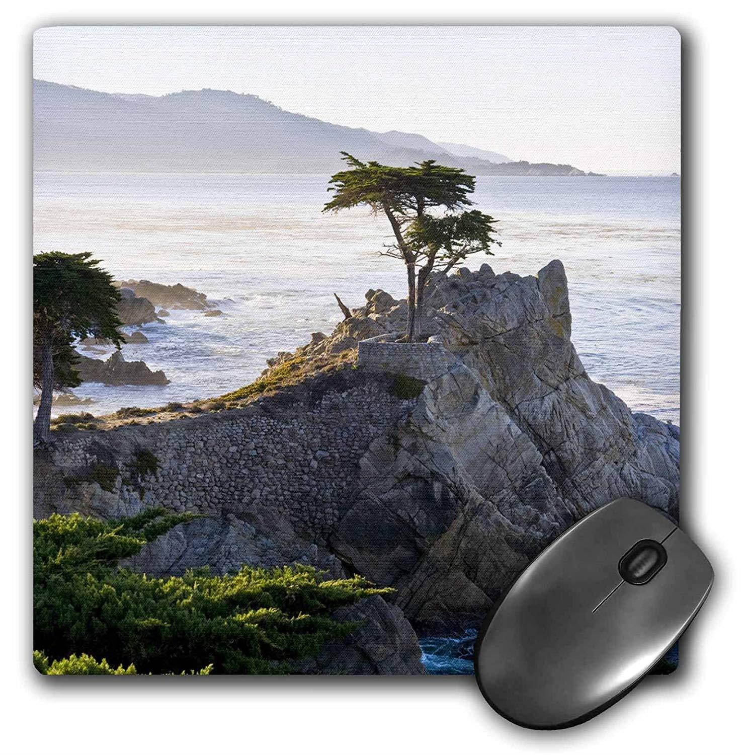 3dRose LLC 8 x 8 x 0.25 Inches Mouse Pad, California Carmel By The Sea Lone Cypress H. Bendjebar (mp_88586_1)