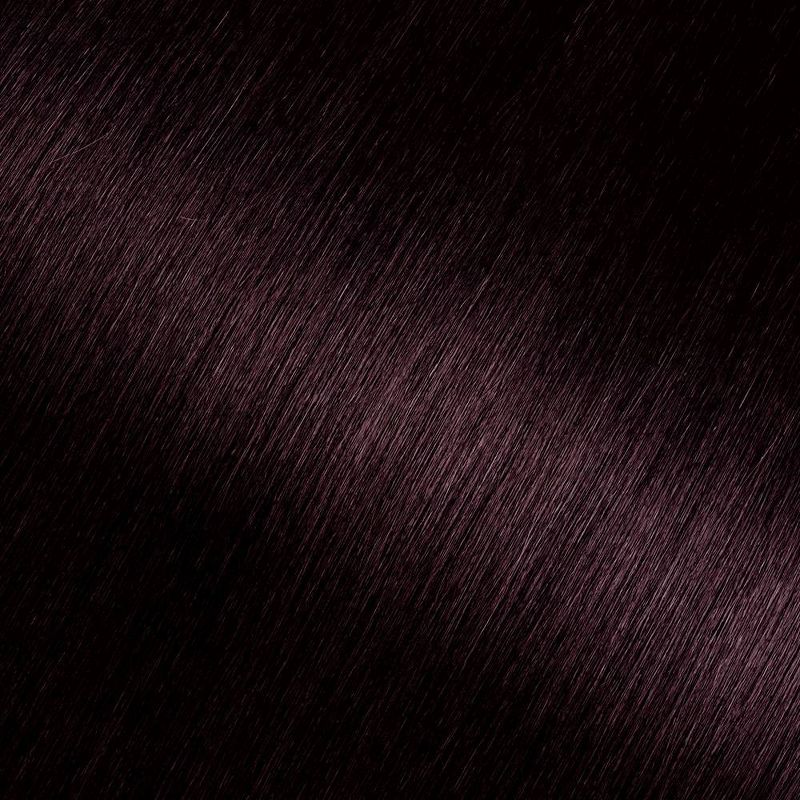 Garnier Olia Oil Powered Permanent Hair Color Bold Collection 2.26 - Black Amethyst - 1 kit