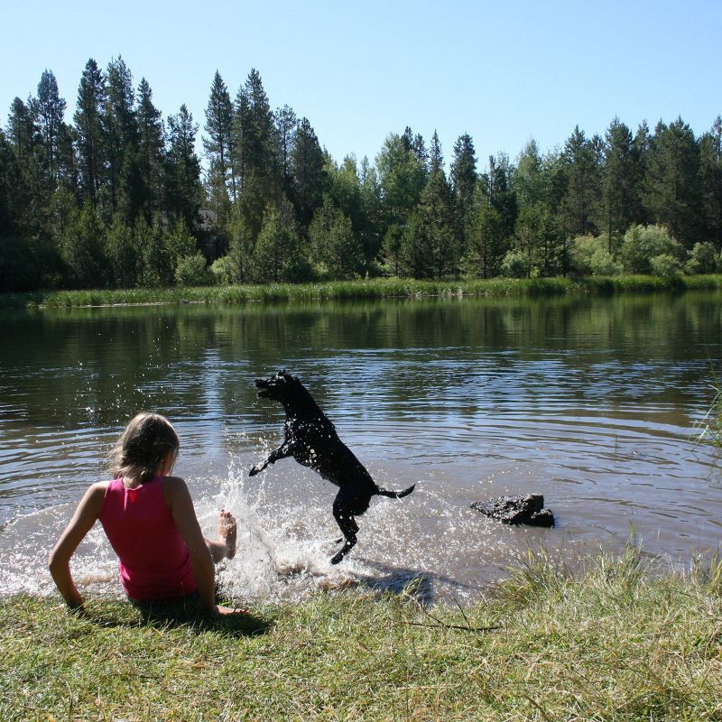 Yard Butler Gopher and Mole Control Steel Poison Bait Applicator Spike, 37 Inch