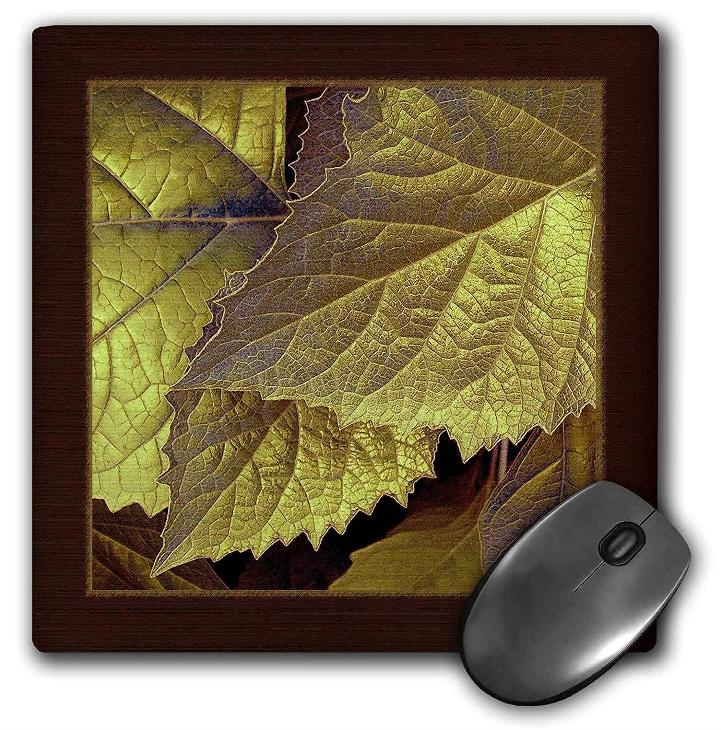 3dRose LLC 8 X 8 X 0.25 Inches Mouse Pad, Gold and Bronze Metallic Leaves with Chocolate Frame (mp_33445_1)