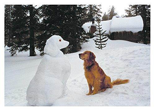 Retriever & Snowdog Boxed Holiday Cards