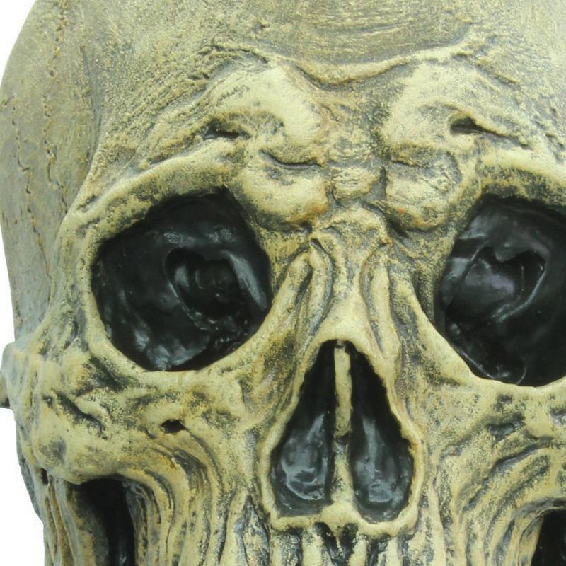 Death Skull Adult Latex Mask Bone