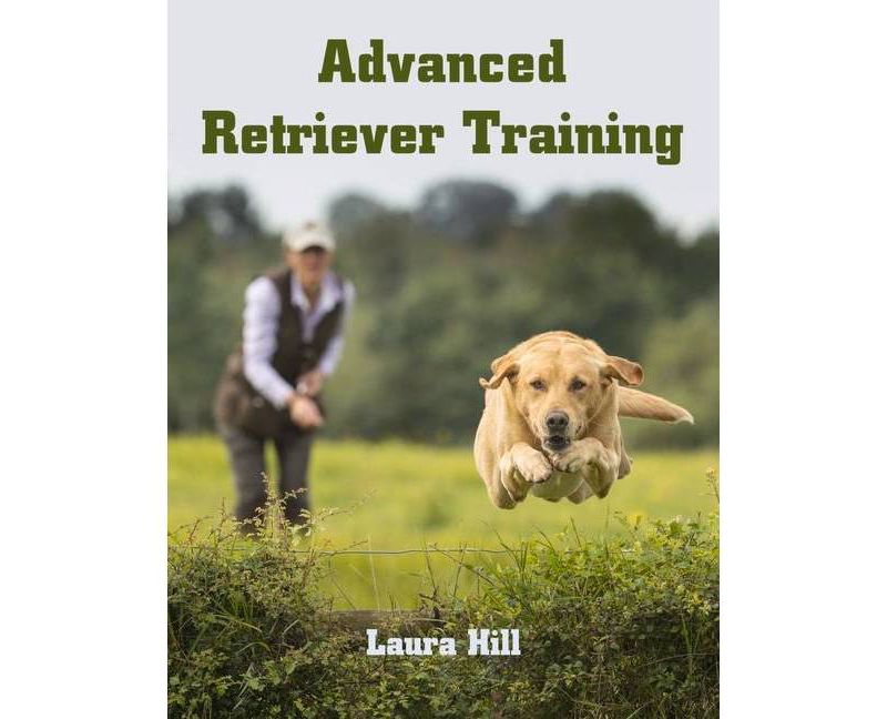 Life with Forty Dogs - by  Joseph Robertia (Paperback)