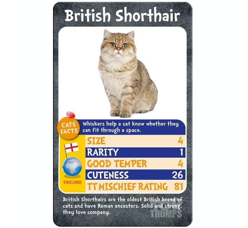 Top Trumps Cats Top Trumps Card Game