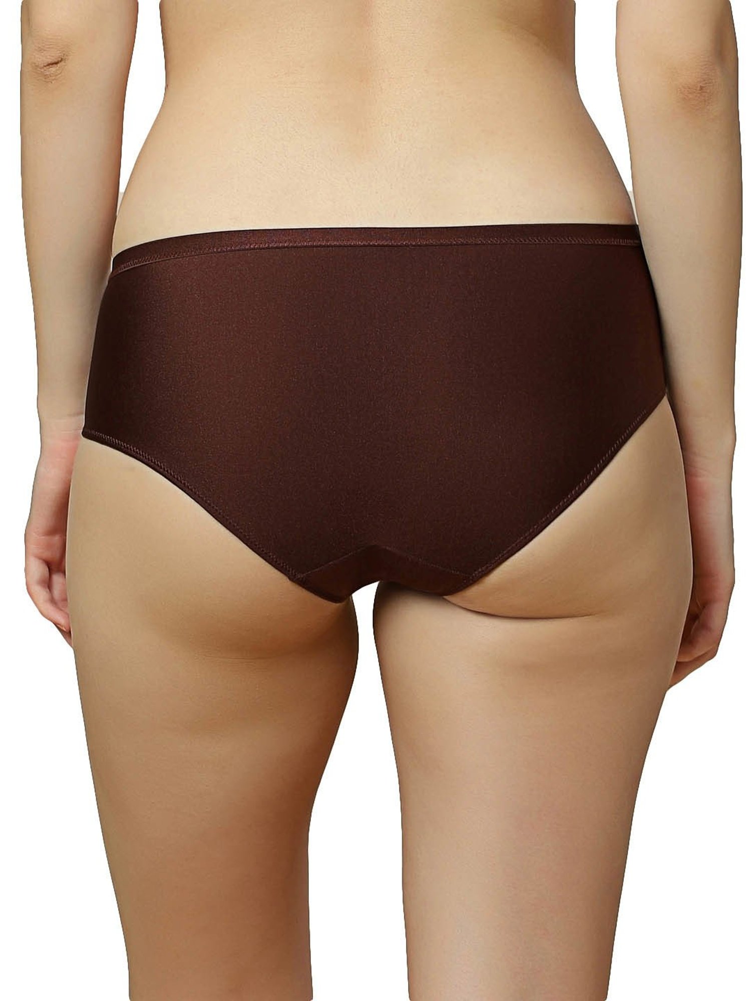 Triumph Brown Hipster Panty