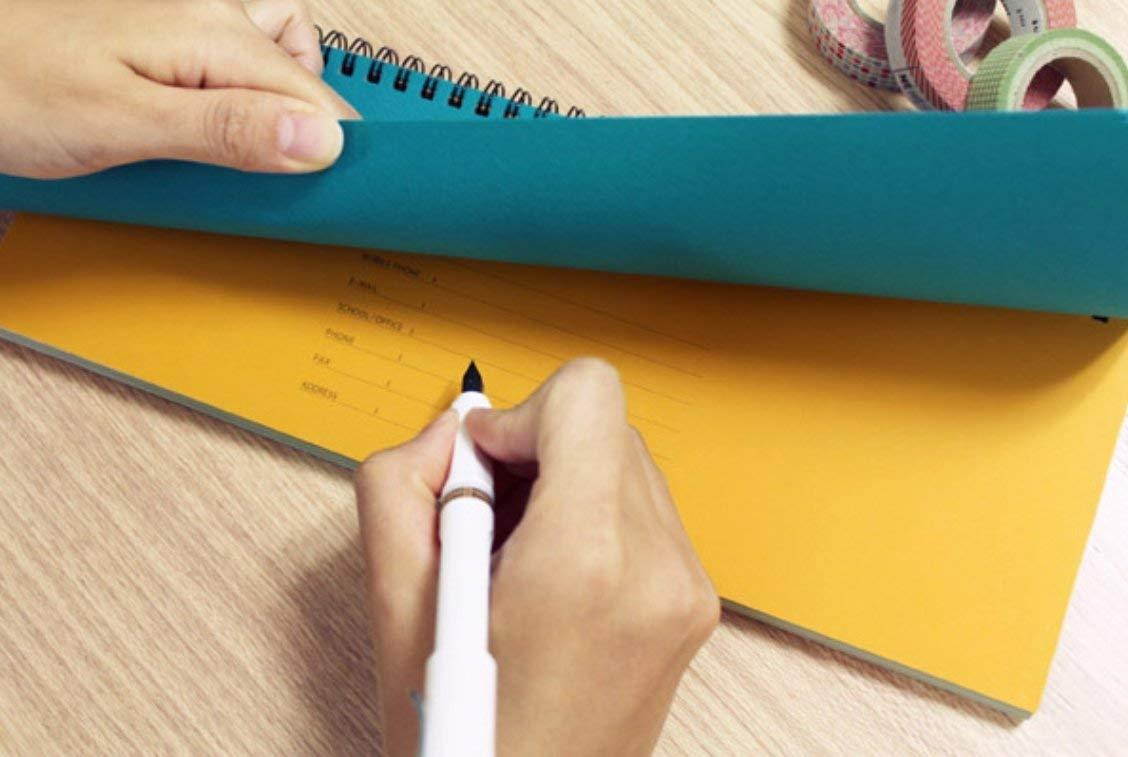 PAPERIAN Brilliant Weekly Scheduler - Wirebound Undated Weekly Planner Pad Scheduler (Blue)