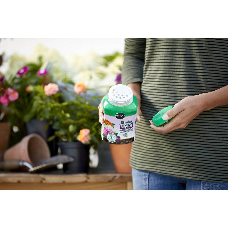 Miracle-Gro Shake 'n Feed Rose & Bloom Fertilizer - 1lb