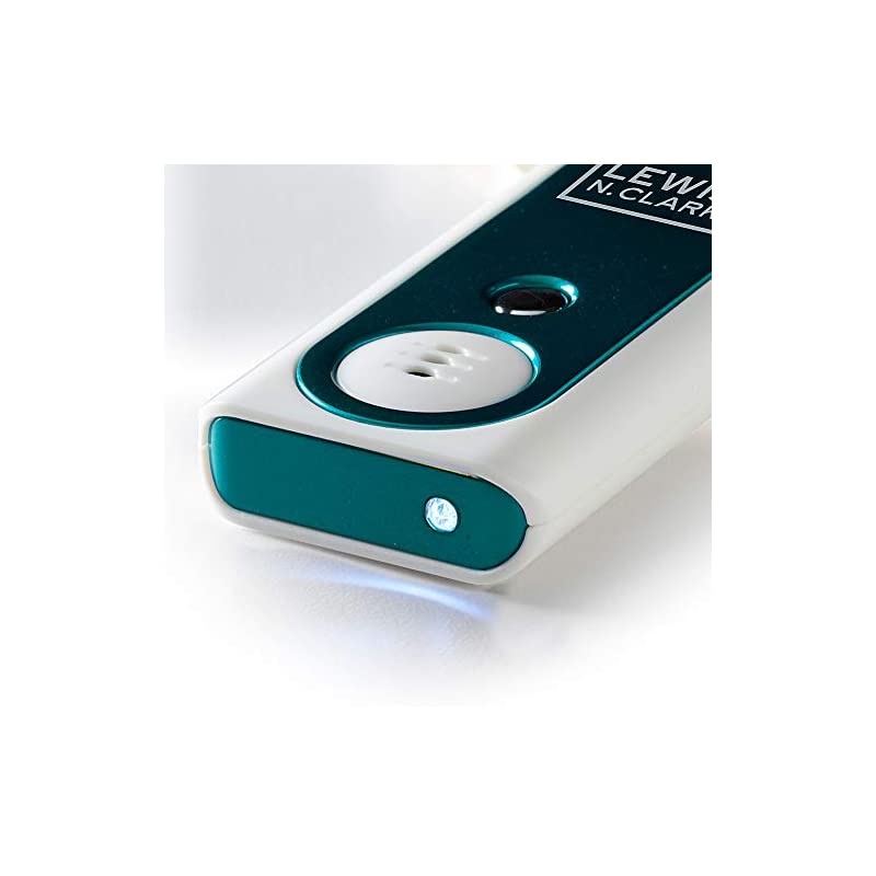 Travel Door and Window Alarm with Flashlight, Blue, 2 pack