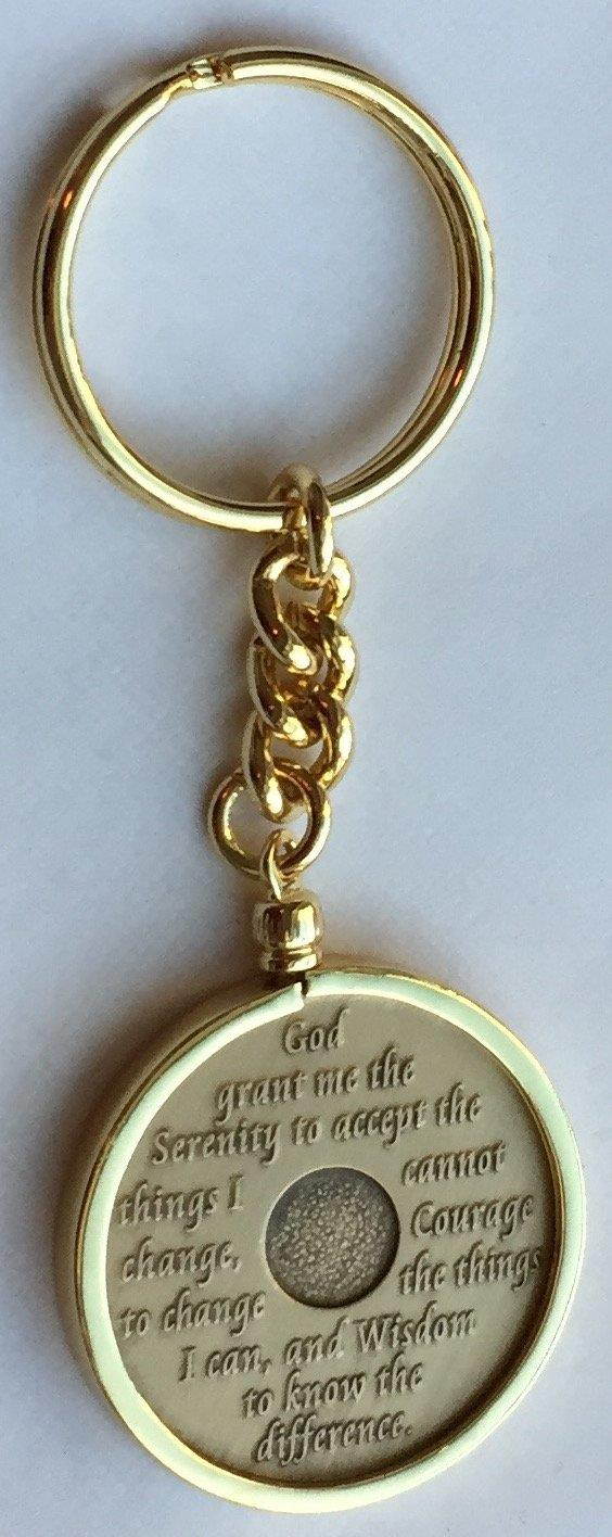 Wendells 1 Month 30 Day AA Sobriety Chip In Removable Gold Plated Keychain Holder